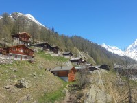 Moosalp-Flafleralp mai