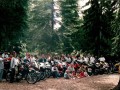Scan 0006
